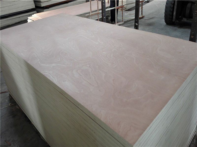 Sapele Plywood(1)