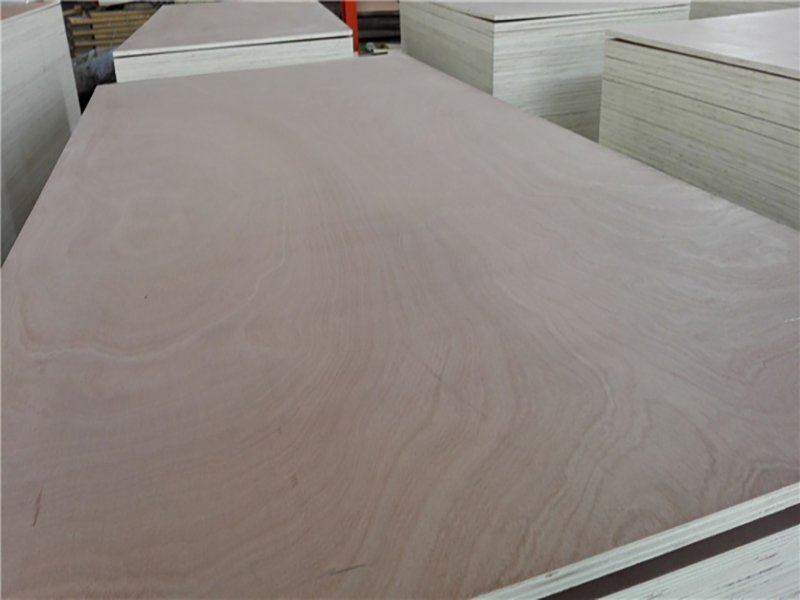 Sapele Plywood(2)