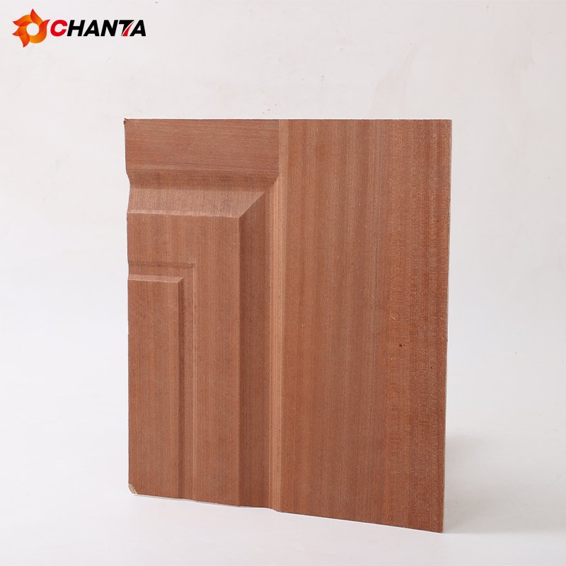 Melamine Door Skin(1)