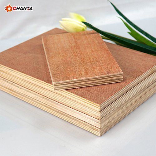 Bintangor Plywood(2)